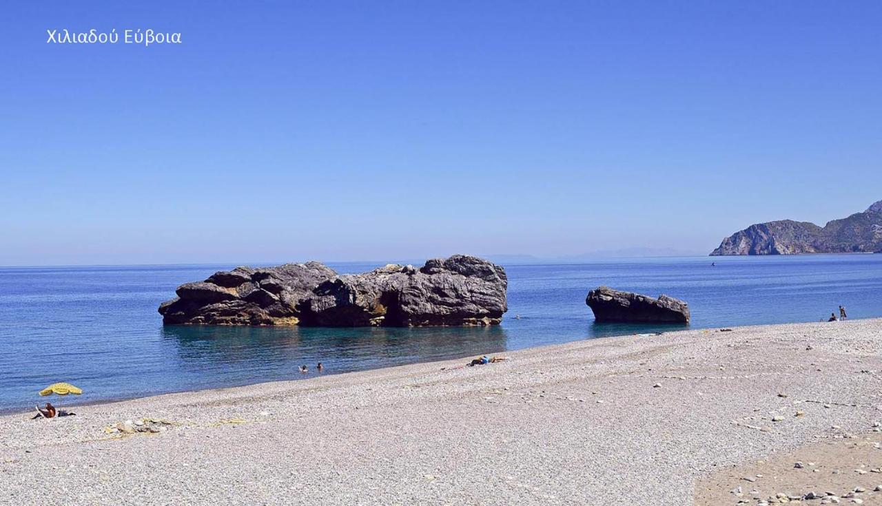 Fabulous Central Apartment Close To The Sea! Chalkís Extérieur photo